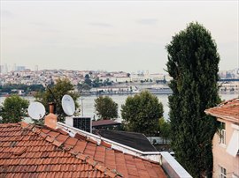 zel Hali Altn Boynuz Erkek renci Yurdu
