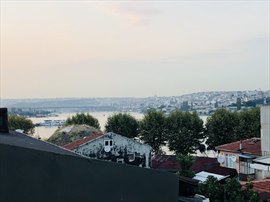 zel Hali Altn Boynuz Erkek renci Yurdu