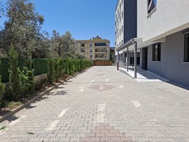 zel hlas Vakf Yusuf Ziya Yaln Erkek Yurdu