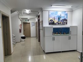 zzet elik Erkek renci Yurdu - Koridor