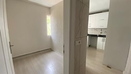 Altay Erkek renci Apart