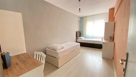 Altay Erkek renci Apart
