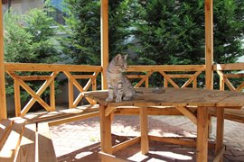 Ilgaz Kz Yurdu (skdar)